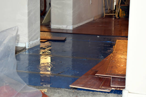 Professional Burst Pipe Cleanup technician working in La Pine, OR